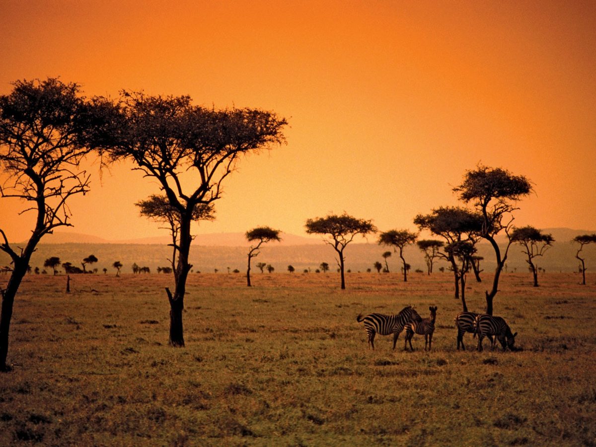 Sudafrica