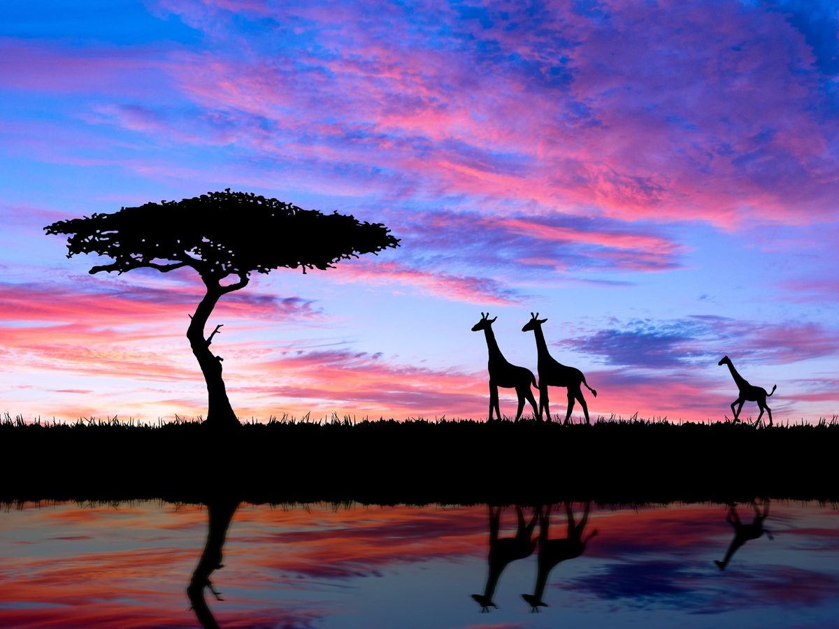 Sudafrica